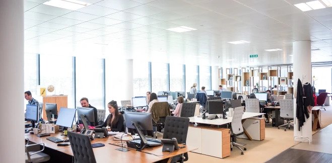 Flight Deals Contact